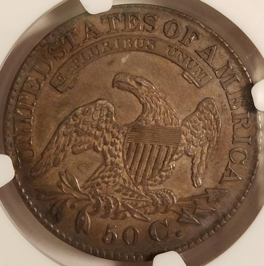 1828-Dark-Toned-Capped-Bust-Half-Dollar---Overton-118-R3